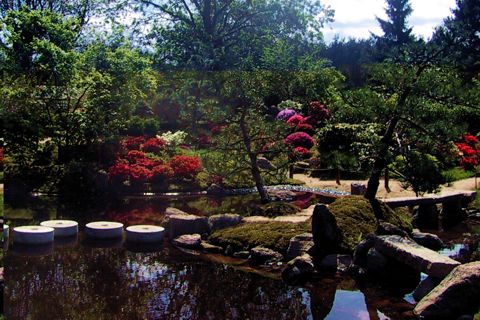 der Bonsai-Garten in Ferch